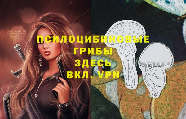 гашиш Верея