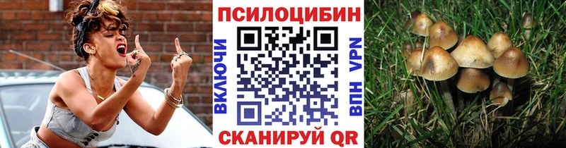 Галлюциногенные грибы Cubensis  Выборг 